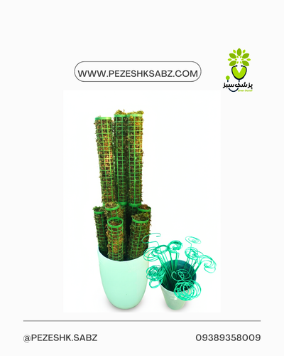 قیم نگهدارنده گیاه