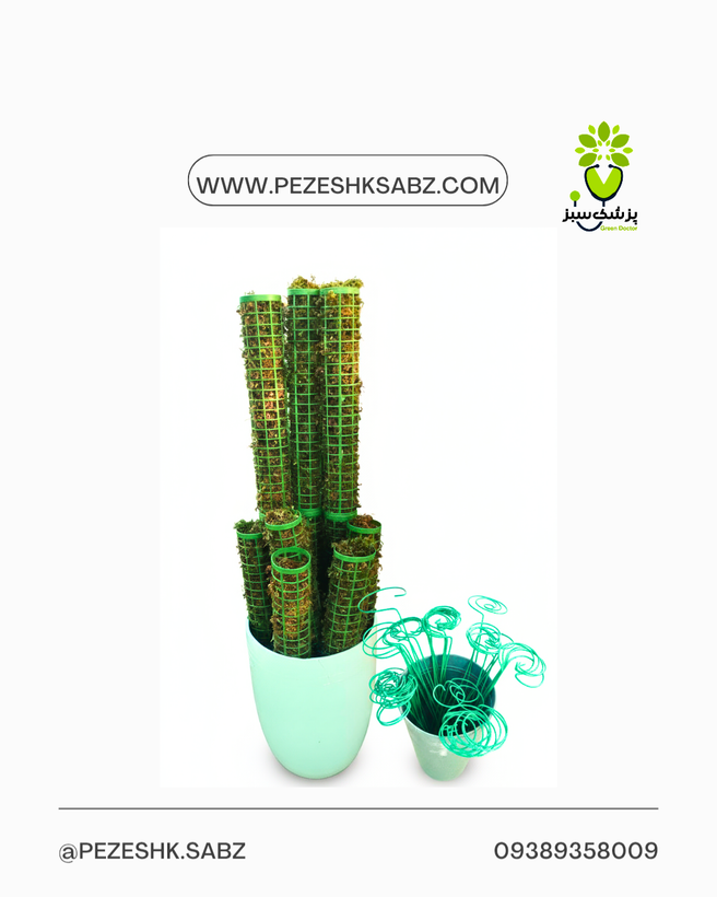 قیم نگهدارنده گیاه