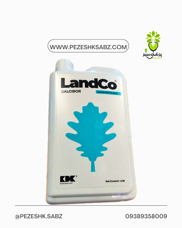 کلسیبور لندکو