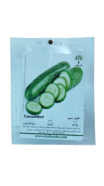 خیار بوته ای