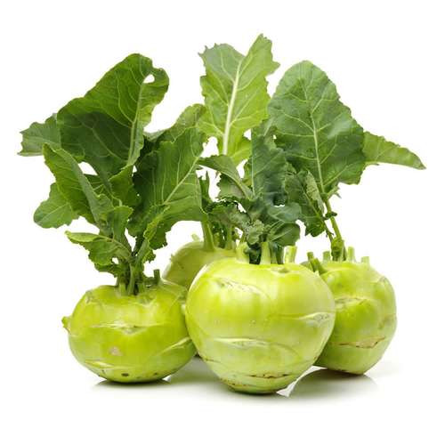 کلم قمری